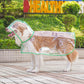 🔥Hot Sale 50% Off!!☔Transparent Raincoat For Dog🐾
