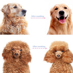 🐾 LIMITED TIME 50% OFF! ✨ Professional Pet Deshedding Tool – Gentle, 2-in-1, Efficient ✨