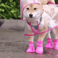 🔥Hot Sale 50% Off!!☔Transparent Raincoat For Dog🐾