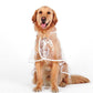 🔥Hot Sale 50% Off!!☔Transparent Raincoat For Dog🐾