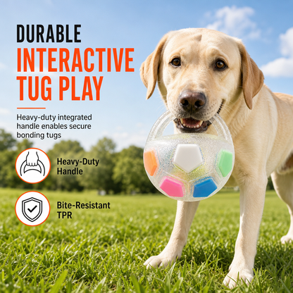 ⏳🔥LIMITED-TIME 49% OFF! ⏰🐶Interactive Dog Soccer Ball Toy with Grab Tabs